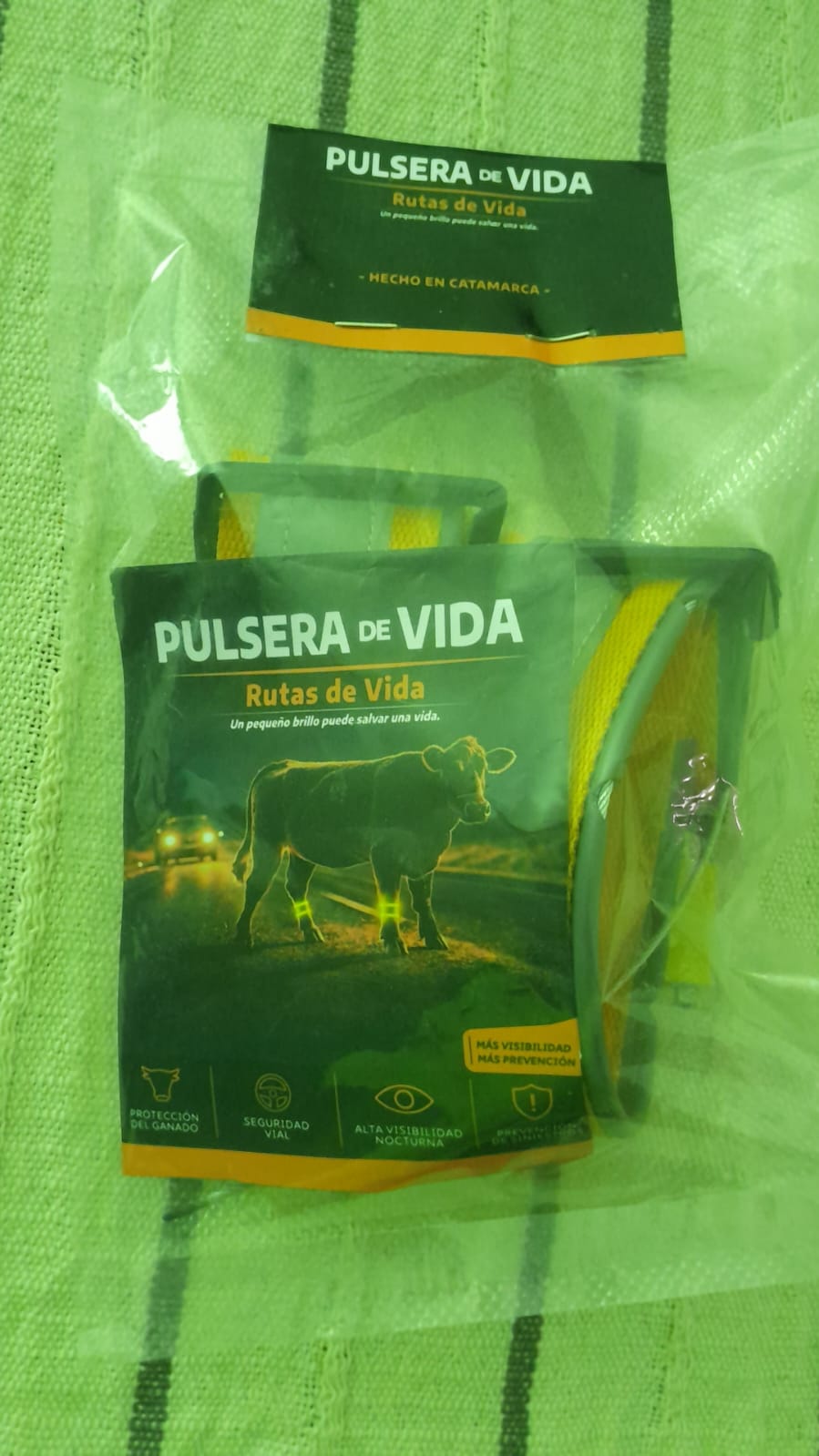 Presentacion de Pulsera de Vida Rutas de Vida